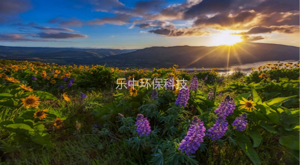 污水處理廠活性污泥法日常管理中，需要監(jiān)測(cè)與注意的參數(shù)-樂中環(huán)保