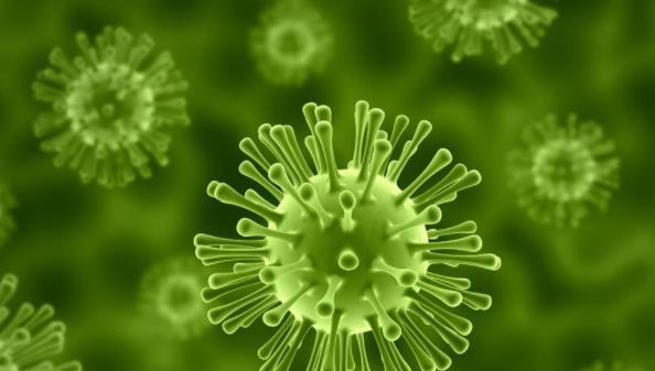 活性污泥中包含哪些微生物？-樂(lè)中環(huán)保