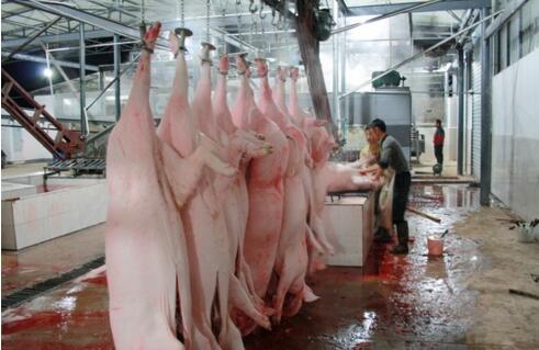 屠宰廢水處理方法有哪些？屠宰廢水處理設(shè)備價(jià)格？-01