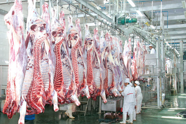 屠宰廢水處理方法有哪些？屠宰廢水處理設(shè)備價(jià)格分享