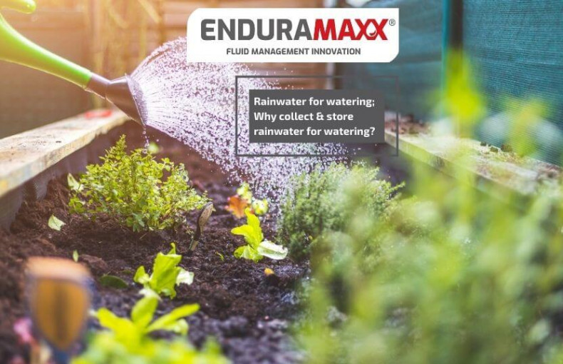 食品工廠污水如何處理？不同種類食品污水的處理技術(shù)介紹03