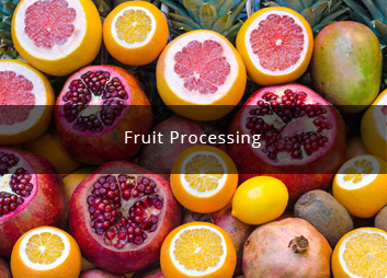 食品廠污水處理新思路，印度食品污水處理經(jīng)驗淺析01