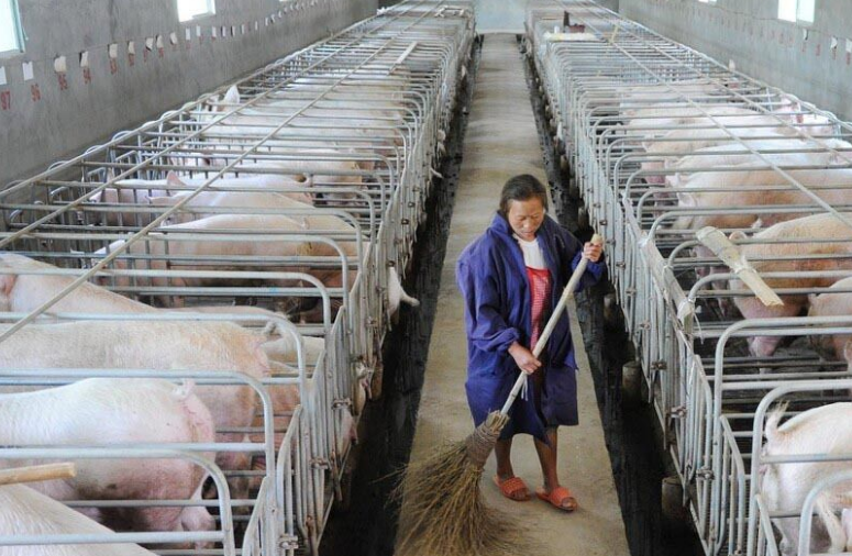 畜牧污水處理設(shè)備哪家好，養(yǎng)殖污水處理設(shè)備哪家好