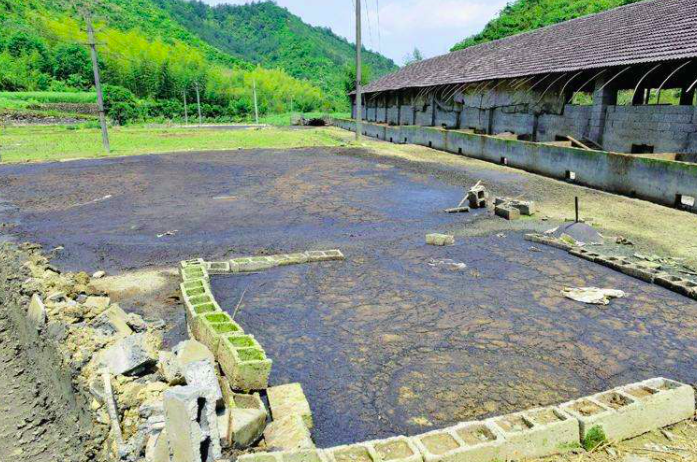 養(yǎng)豬污水變清水最快方法，養(yǎng)豬場污水處理方法有哪些-樂中環(huán)保