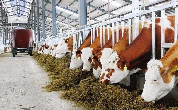 養(yǎng)殖污水處理設(shè)備的如何調(diào)試才能保障正常運(yùn)行？02