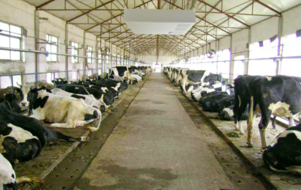 養(yǎng)殖屠宰污水處理設(shè)備使用前，要注意這兩點！01