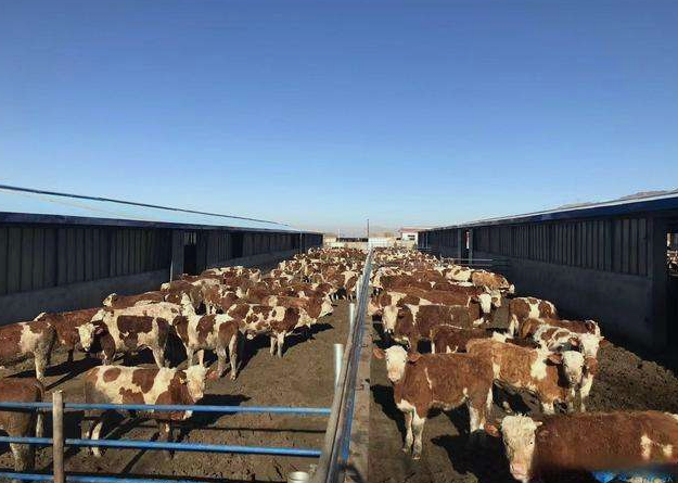 養(yǎng)殖場污水直接排放會(huì)面臨哪些處罰？JPEG.2