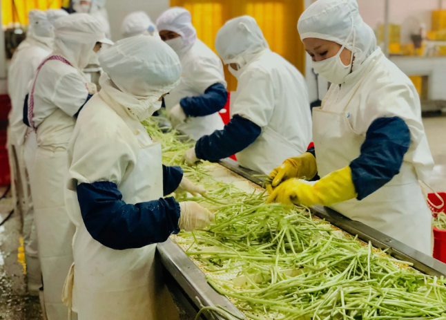 三種食品污水處理設(shè)備工藝流程，看看哪種適合您？