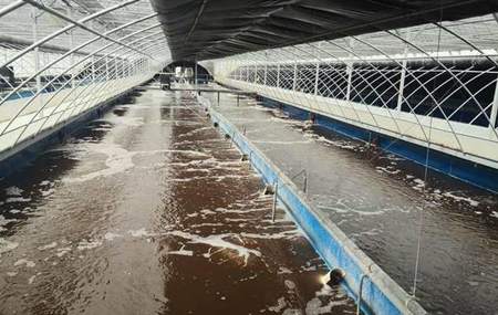 畜禽污水處理的方法、步驟（主流畜禽污水處理工藝有哪些）